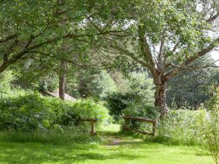 Tuckenhay, Mill Stream - Fme - 9