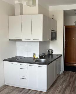 Apartment near city center - 2