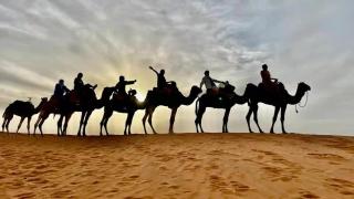Dari Desert Luxury Camp - 5