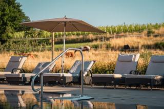 Hotel Gierer - 9