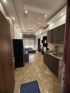 Studio apartment 7th Circle area Cozmo 101 - 0