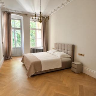 L'Esprit de Görlitz - Exklusives Altbauapartment - 5