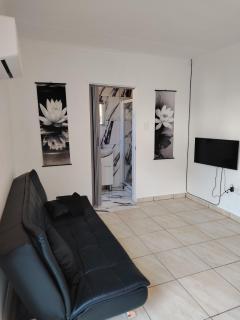 Aloe Haven - 5