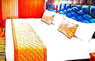 Hotel Pari Mahal - 5