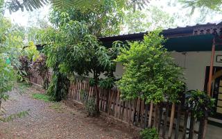 Bajirao Resort and Villas - 5