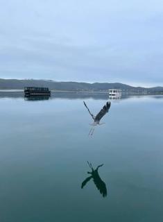 Knysna Houseboat Myrtle - 3