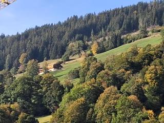 Haus Wildenbach - 6