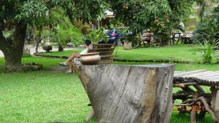 Beach Garden Guest House - 1