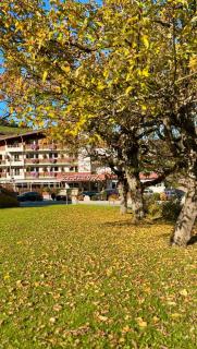 Hotel Der Wastlhof - Reiten, Wellness & Aktivurlaub in den Bergen - 0