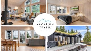 FA303 Premium ski-in/out cabin in Trysil hottub & sauna - 9