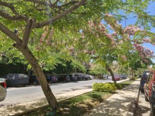 Modern 2BR Apartment next to Avenue Mall, Al Rehab - 6