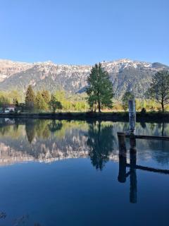 Aare and mountains near Interlaken - 8