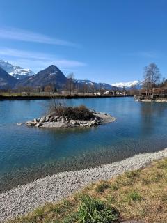 Aare and mountains near Interlaken - 2