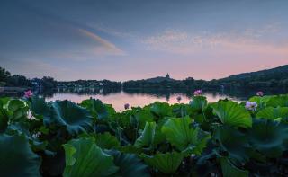 Tonight Homestay Hangzhou West Lake - 7