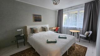Deluxe Central Apartment - 0