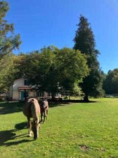 Agriturismo La Casa Nel Bosco - Boveglio - 7
