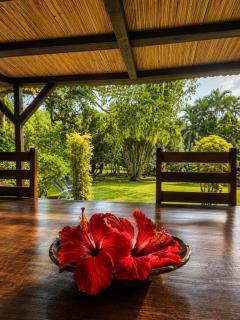 Villa les orchidees - 3