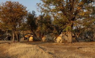 Damaraland Mopani Elephant Camp - Tents - 3