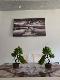 New Cairo luxury Apartment 10 Min to Cairo airport - 9