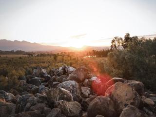 Ronwe Mountain Lodges - 4