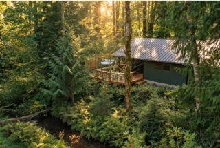 Cozy Cabin Relax in Hot Tub Overlooking Creek - Rhododendron - 0