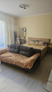 Dendro House - 6