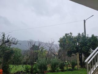 Planta Baja de la casa - 1