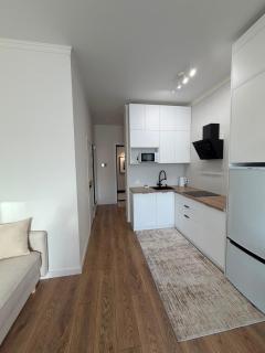 Meridian luxurious Apartments - 1