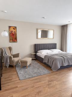 Veleslaveenka - Spacious Apartment in Pilsen Old Town - 0