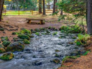 Black Butte Ranch: Hilltop Getaway - 7