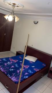 Cozy nest - 1