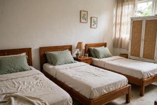 napoleonn guest house - 5