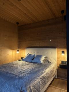 Arctic Forest Hideaway with Private Sauna - 6