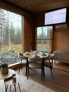 Arctic Forest Hideaway with Private Sauna - 9