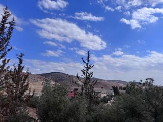 Pella Countryside Hotel - 2