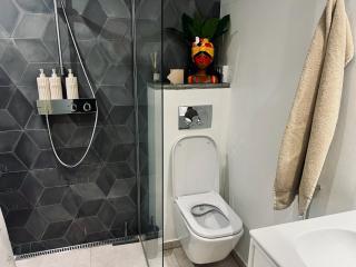 New Cozy Basement Studio Apartment - 2