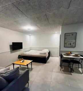 New Cozy Basement Studio Apartment - 1