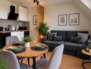 Apartamenty Zdrojowe Busko - premium, nowy, osobna sypialnia, bezpłatny parking, masaż na zamówienie - 0