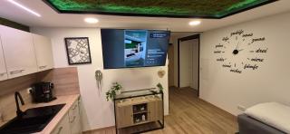 Appartment-Ferienwohnung mit Küche, Bad, WLAN, Klimaanlage, Modern eingerichtet - Pösing - 7