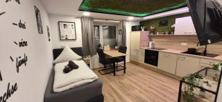 Appartment-Ferienwohnung mit Küche, Bad, WLAN, Klimaanlage, Modern eingerichtet - Pösing - 4