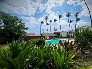 Your Slice of Paradise in Kona - Close to Beach and Stores - 4