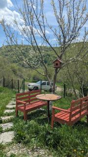 სიონის ტყუპები twins in sioni - Sioni - 5
