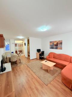 TIMS Apartment Aerodrom - 6