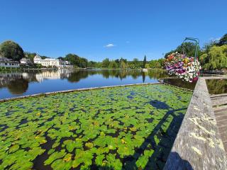 La Potinière Du Lac Appartements - 6