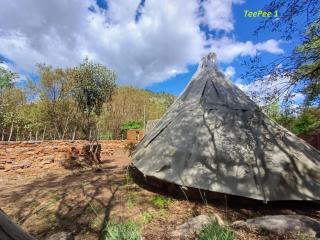 Rustic Unique - Bush Glamping Retreat - 5