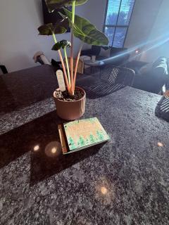 NEW Intoku Loft 2bed 2ba Blocks from Mass - Lawrence - 2