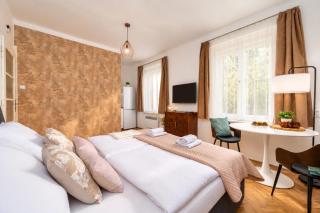 Amber Suite in the Central Prague - 9