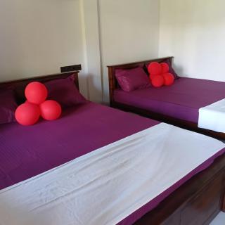 Thineja Holiday Resort Polonnaruwa - 5