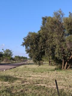 Mologadi Holiday Home - 1