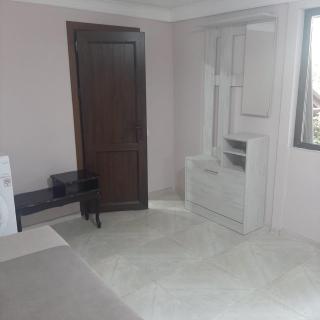 Aren & S & L Guest house Ijevan - 8